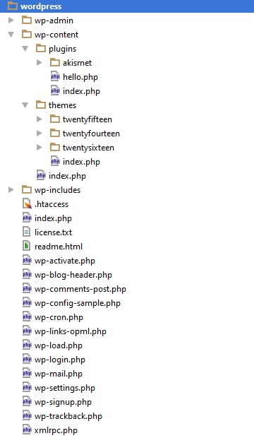 Estructura directorios
